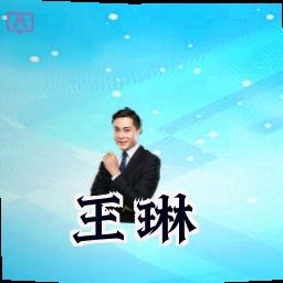 王琳